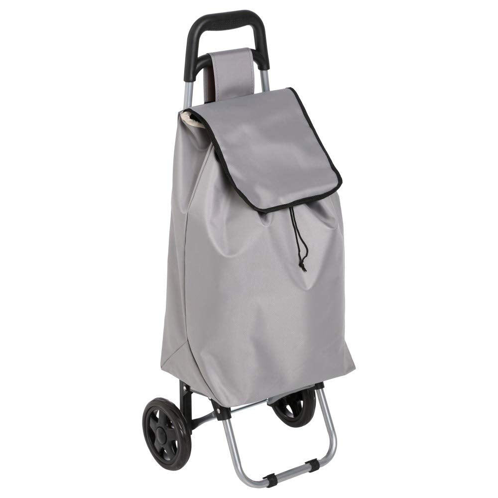 Einkaufswagen mit 2 Rädern Grau