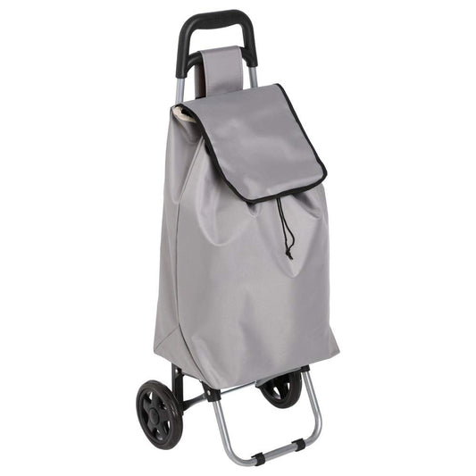 Einkaufswagen mit 2 Rädern Grau